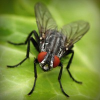 /album/chatarreria-viana-s-l-/photolia-a01-jpg/