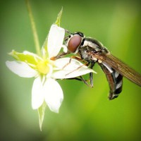 /album/chatarreria-viana-s-l-/photolia-a02-jpg/