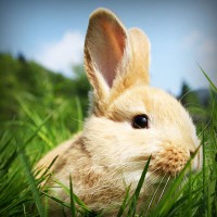 /album/chatarreria-viana-s-l-/photolia-a03-jpg/