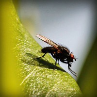 /album/chatarreria-viana-s-l-/photolia-a04-jpg/