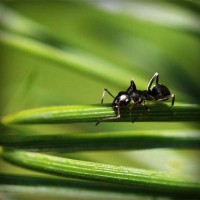 /album/chatarreria-viana-s-l-/photolia-a05-jpg/