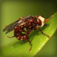 /album/chatarreria-viana-s-l-/photolia-a06-jpg/