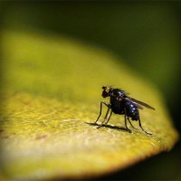 /album/chatarreria-viana-s-l-/photolia-a07-jpg/