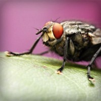 /album/chatarreria-viana-s-l-/photolia-a08-jpg/